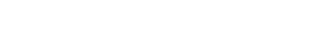 light logo